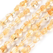 Natural Citrine Beads Strands, Nuggets, Tumbled Stone, 4.5~11.5x3~7x3.5~6mm, Hole: 1.2mm, about 48~68pcs/strand, 15.35~15.94''(39~40.5cm)(G-P497-01C-39)