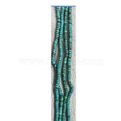 Natural Howlite Beads Strands, Dyed, Disc/Flat Round, Turquoise, 6x3mm, Hole: 1mm, about 115pcs/strand, 15.35 inch(39cm)(G-WH0029-01)