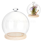 Diamond Glass Dome Cover, Decorative Display Case, Cloche Bell Jar Terrarium with Wood Base, Navajo White, 153x155mm(AJEW-WH0348-294D-02)