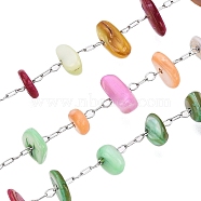 Handmade Dyed Shell Beads Chains, for Necklaces Bracelets Making, with 304 Stainless Steel Chains, Soldered, with Spool, Stainless Steel Color, 1.5~5x5.5~13x3.5~8mm, links: 2x1.5x0.2mm & 2.5x1x0.2mm, interval: 10mm, about 10m/roll(CHS-T006-14P-A)