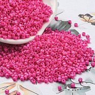 Baking Paint Glass Seed Beads, Cylinder, Hot Pink, 2.5x2mm, Hole: 1.4mm, about 45359pcs/pound(SEED-S042-05A-36)