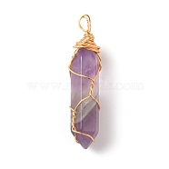 Natural Amethyst Double Terminated Pointed Pendants, with Golden Tone Copper Wire Wrapped, Faceted Bullet Charm, 41.5x9.5x8.5mm, Hole: 4x2.3mm(G-TAC0010-04G-02)