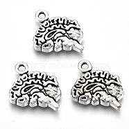 Tibetan Style Alloy Charms, Lead Free & Cadmium Free, Brain, Antique Silver, 12.5x14x3mm, Hole: 1.5mm(X-TIBE-S323-049AS-RS)