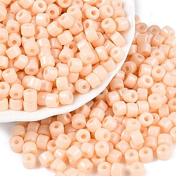 Opaque Baking Paint Glass Seed Beads, Round Hole, Cylinder, PeachPuff, 4x5.5mm, Hole: 1.8mm, about 277pcs/50g(X-SEED-T008-02C)