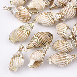 Electroplate Spiral Shell Pendants, with Iron Findings, Light Gold, Peru, 16~30x8~14x7~12mm, Hole: 2mm(X-SSHEL-S262-18B)