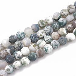 Natural Tree Agate Beads Strands, Frosted, Round, 4mm, Hole: 1mm, about 96pcs/strand, 15.5 inch(G-T106-036)