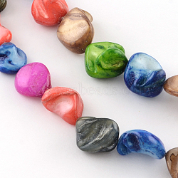 Dyed Natural Freshwater Shell Nuggets Bead Strands, Colorful, 13~18x10~18x8~15mm, Hole: 1mm, about 24pcs/strand, 15.7 inch(SHEL-Q004-03)