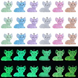 30Pcs 6 Colors Luminous Transparent Resin Pendants, Glow in the Dark 3D Cat Charms, with 304 Stainless Steel Loops, Mixed Color, 27x27x17.5mm, Hole: 2mm, 5pcs/color(RESI-SZ0003-40)