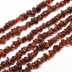 Natural Garnet Chip Bead Strands, Dyed, 5~8x5~8mm, Hole: 1mm, about 31.5 inch(G-M205-73)