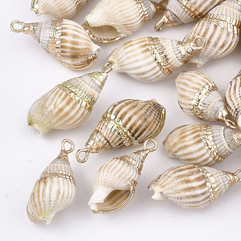 Electroplate Spiral Shell Pendants, with Iron Findings, Light Gold, Peru, 16~30x8~14x7~12mm, Hole: 2mm