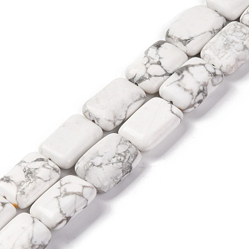 Natural Howlite Beads Strands, Rectangle, 18x13.5x5.5mm, Hole: 1.2mm, about 22pcs/strand, 15.75 inch(40cm)