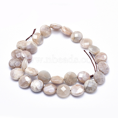 Electroplate Natural Sunstone Beads Strands(G-K256-20B)-2