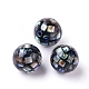 Natural Abalone Shell Beads(SSHEL-E437-1)-2