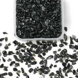 50G Natural Obsidian Chip Beads, No Hole/Undrilled, 3~9x1~4mm(G-YW0001-59)