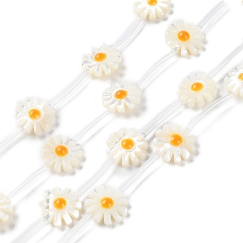Natural Trochus Shell Beads Strands, with Enamel, Daisy Flower, Gold, 12x12x4.5mm, Hole: 0.8mm, about 15pcs/strand, 15.43''(39.2cm)