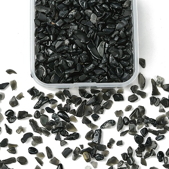 50G Natural Obsidian Chip Beads, No Hole/Undrilled, 3~9x1~4mm