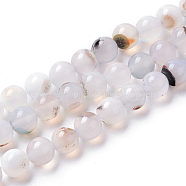 Natural Agate Beads Strands, Dyed, Round, WhiteSmoke, 8mm, Hole: 1.4mm, about 50pcs/strand, 15.75 inch(40cm)(G-I261-B03-8mm)