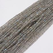 Natural Larvikite Beads Strands, Round, Faceted, 2.25mm, Hole: 0.5mm, about 140pcs/strand, 12.5 inch(32cm)(G-E349-01)