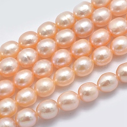 Natural Cultured Freshwater Pearl Beads Strands, Oval, Sandy Brown, 6.5~7x5.5~6mm, Hole: 0.8mm, about 44pcs/strand, 14.17 inch(36cm)(PEAR-K003-23C-01)