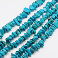 Chips Natural Magnesite Beads Strands, Dyed, Turquoise, 7~14x6~10mm, Hole: 1mm, 16.1 inch(G-N0132-05)