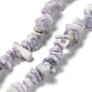 Natural Purple Turquoise Beads Strands, Chip, 1~8x5~17x5~8mm, Hole: 0.9~1mm, 30.31~31.50''(77~80cm)(G-M205-84)