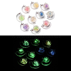 Luminous Transparent Acrylic Pendants, Glow in the Dark, Snail, Mixed Color, 28x29.5x10mm, Hole: 2mm(TACR-P010-03)