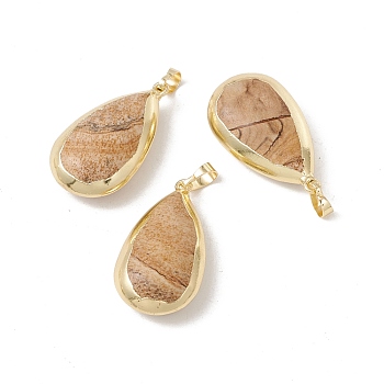 Natural Picture Jasper Pendants, with Light Gold Tone Brass Findings, Cadmium Free & Lead Free, Teardrop, 35~36x20~21.5x11~13mm, Hole: 8x5mm