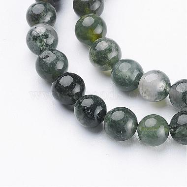 Natural Moss Agate Beads Strands(GSR6mmC001)-2