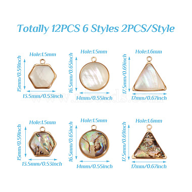 craftdady 12pcs 6 styles ensembles de pendentifs en coquillage naturel(SHEL-CD0001-03)-4