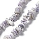Natural Purple Turquoise Beads Strands(G-M205-84)-1