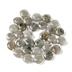 Natural Labradorite Bead Strands(G-C116-A10-01)-3