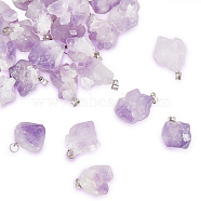 Natural Amethyst Pendants, with Platinum Plated Brass Findings, Nuggets, 20~26x12~20x10~16mm, Hole: 4x4mm, 24pcs(G-GA0001-39)