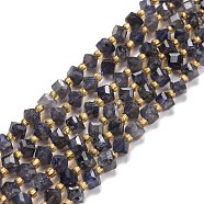 Natural Iolite Beads Strands, with Seed Beads, Faceted, Diagonal Cube Beads, 5~6x5~6x4~5mm, Hole: 1mm, about 49~55pcs/strand, 15.35''~15.75''(39~40cm)(G-P463-42)
