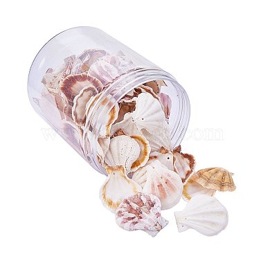 39mm Goldenrod Others Spiral Shell Beads