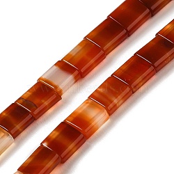 Natural Red Agate Beads Strands, 2-Hole, Dyed, Rectangle, 5.5~6x5x2.5mm, Hole: 0.9mm, about 69~70pcs/strand, 15.12~15.2 inch(38.4~38.6cm)(G-F762-A15-01)
