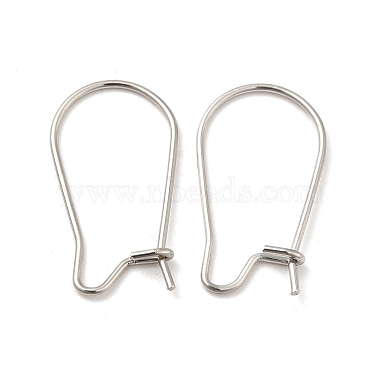Stainless Steel Color Stainless Steel Earring Hoop