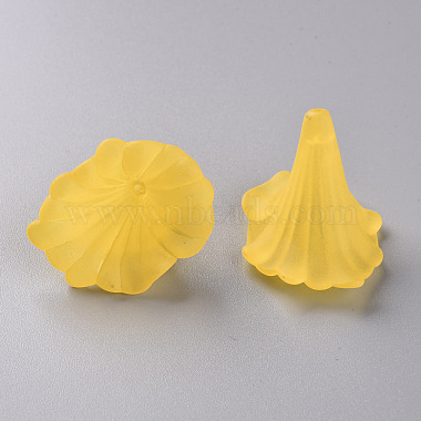 Perles en acrylique transparente(BSF796-C09)-2
