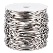 304 Stainless Steel Wire, Round, Stainless Steel Color, 21 Gauge, 0.7mm, about 426.51 Feet(130m)/Roll(STAS-WH0016-47P-02)
