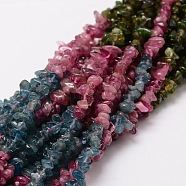 Natural Tourmaline Chip Bead Strands, 3~5x3~5mm, Hole: 1mm, about 16 inch(G-M298-15)