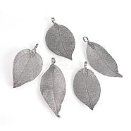 Electroplated Natural Leaf Big Pendants, with Iron Findings, Black Plated, 50~80x20~35x1mm, Hole: 3x6mm(IFIN-Q119-03B)
