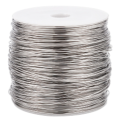 304 Stainless Steel Wire, Round, Stainless Steel Color, 21 Gauge, 0.7mm, about 426.51 Feet(130m)/Roll(STAS-WH0016-47P-02)