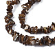 Natural Freshwater Shell Beads Strands(SHEL-S278-070A)-3