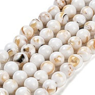 Assembled Synthetic Stone and Trochus Shell Beads Strands, Dyed, Round, Beige, 6~6.5mm, Hole: 0.8mm, about 64pcs/strand, 15.47~15.55''(39.3~39.5cm)(G-B128-08B-01)