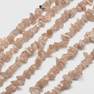 Natural Sunstone Chip Bead Strands, 5~8x5~8mm, Hole: 1mm, about 31.5 inch(X-G-M205-15)