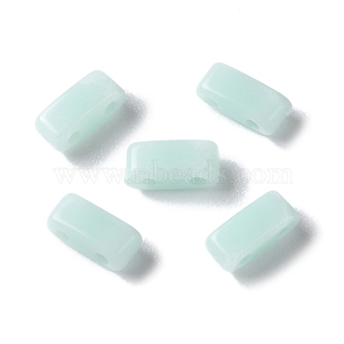 Pale Turquoise Rectangle Acrylic Slide Charms