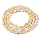 Natural Trochid Shell/Trochus Shell Beads Strands(SSHEL-S266-021B-01)-2