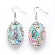 Abalone Shell/Paua Shell Oval with Tree of Life Dangle Earrings, Brass Wire Wrapped Drop Earrings for Women, Platinum, 55.5~57.5mm, Pin: 0.6mm(EJEW-SZ0001-66A)