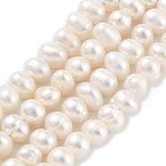 Natural Cultured Freshwater Pearl Beads Strands, Potato, Old Lace, 4.8~5.2mm, Hole: 0.6mm, about 34~35pcs/strand, 6.69~7.09 inch(17~18cm)(PEAR-C003-28)