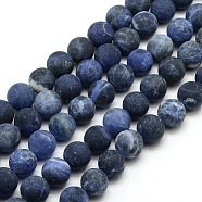 Frosted Natural Sodalite Round Bead Strands, 12mm, Hole: 1mm, about 30~32pcs/strand, 14.9~15.6 inch(G-M064-12mm-01)