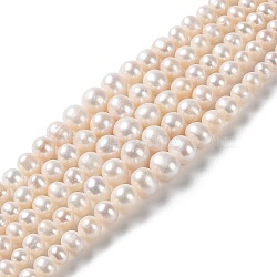Natural Pearl Beads Strands, Gradient Round, PapayaWhip, 4~11x3~10mm, Hole: 0.5mm, about 77pcs/strand, 15.87''(40.3cm)(PEAR-E018-67)